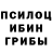 Псилоцибиновые грибы MAGIC MUSHROOMS MidnightMS11