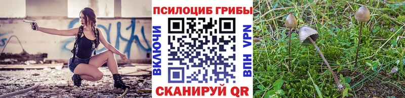 Галлюциногенные грибы мухоморы  купить наркотики цена  Чистополь 